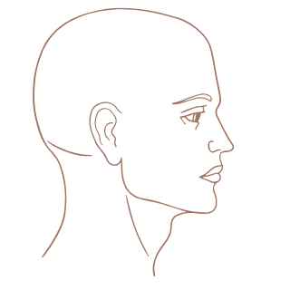 Perfil de rosto humano em line-art, indicando o caminho da respiração